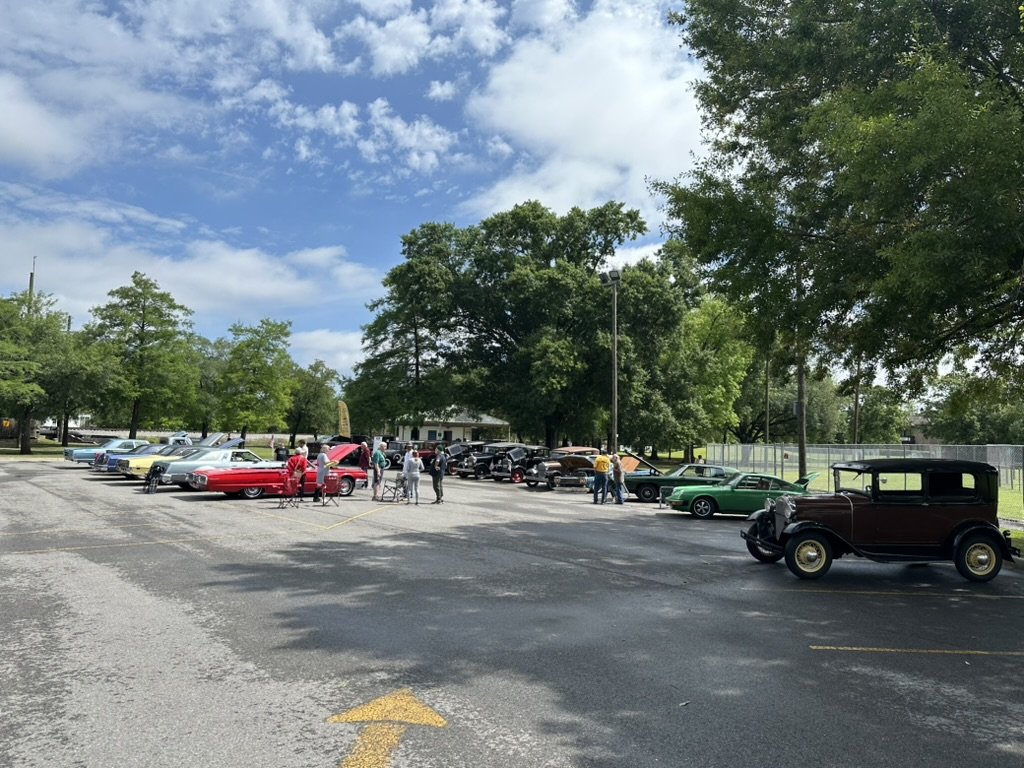 Full show field at the picnic